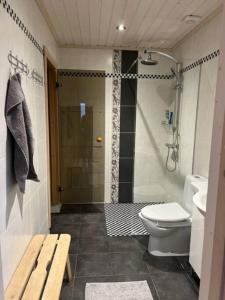 a bathroom with a shower and a toilet and a sink at Feriehus med ti senger på Skaidi in Hammerfest