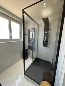 La salle de bains est pourvue d'une douche et d'une paroi en verre. dans l'établissement Appt de standing centre ville, à Tarbes