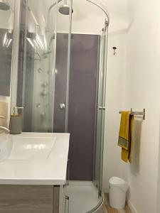 a bathroom with a shower and a sink at Le Niaouli in Saint-Joseph