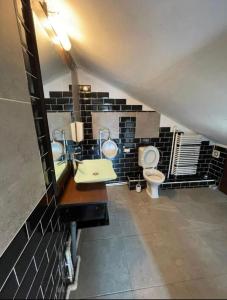 łazienka z 2 toaletami i umywalką w obiekcie Apartament centru camera si living,4 persoane w Jassach