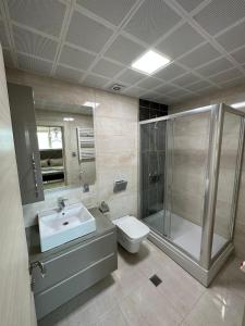 a bathroom with a sink and a shower and a toilet at Luxury apartment in Skopje in Skopje