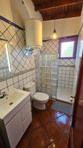 a bathroom with a toilet and a sink at Los Cerrajones: spectacular views from the cliff in Agulo