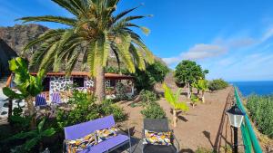a resort with chairs and a palm tree and the ocean at Los Cerrajones: spectacular views from the cliff in Agulo