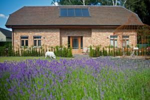 GierleB&B Gielse Garden的羊在紫色花房前放牧