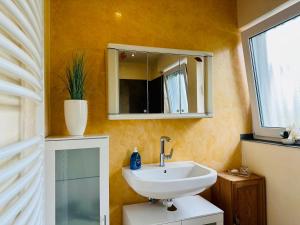 a bathroom with a sink and a mirror at 2,5-Zimmerwohnung mit Terrasse - KEINE Monteure in Marbach am Neckar