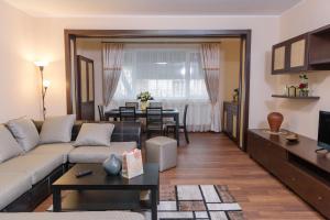 a living room with a couch and a table at Apartament Premium Borealis in Timişoara