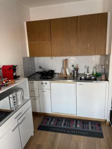 een keuken met witte kasten en een wastafel bij Suncatcher Studio in Bern