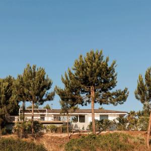 una casa con degli alberi di fronte di Campo de Arroz a Carvalhal