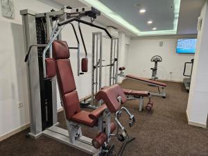 Fitness centrum a/nebo fitness zařízení v ubytování Holiday Home