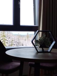 a table with a potted plant sitting on it in front of a window at Sky Lux Apartments in Jahorina