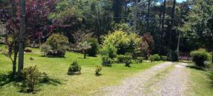 um jardim com árvores e uma estrada de terra em Cabanas Brocker em Gramado