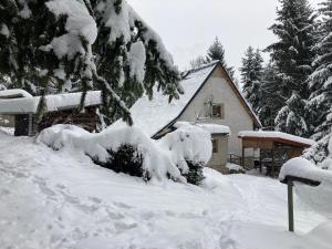 MěděnecChata Alšovka的树旁的雪覆盖的房子