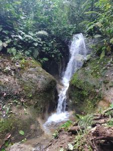 una cascada en medio de un bosque en Cabaña De Montaña, en Aguas Claras