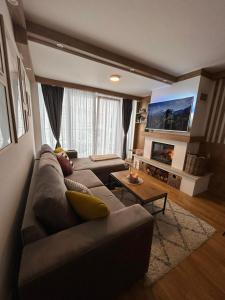 een woonkamer met een bank en een open haard bij Bjelašnica Olympic Apartment in Bjelašnica