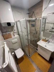 een badkamer met een douche, een toilet en een wastafel bij Bjelašnica Olympic Apartment in Bjelašnica