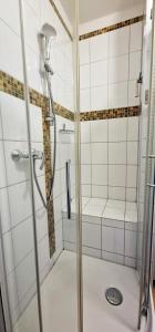 een douche met een glazen deur in de badkamer bij Sand-8 in Großenbrode