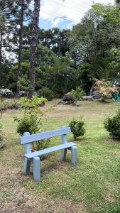 a blue bench sitting in the grass in a park at Cabanas Brocker in Gramado