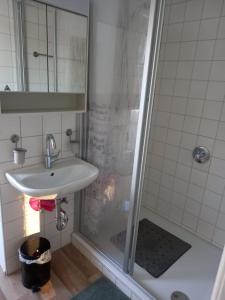 La salle de bains est pourvue d'un lavabo et d'une douche. dans l'établissement Schöne Ferienwohnung in Gernsbach, à Gernsbach