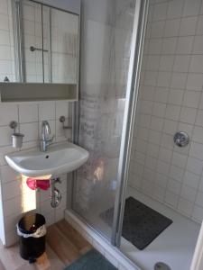 uma casa de banho com um lavatório e um chuveiro em Schöne Ferienwohnung in Gernsbach em Gernsbach