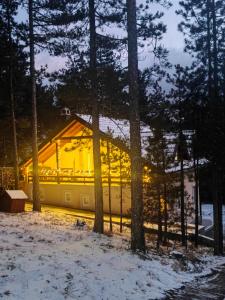 Cottage Nena Tara tokom zime