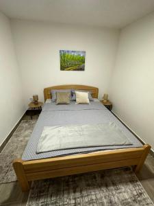 a bedroom with a large bed in a room at Villa Dejana Vlašić in Šišava