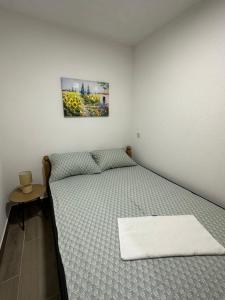 a bedroom with a bed with a picture on the wall at Villa Dejana Vlašić in Šišava +10 photos
