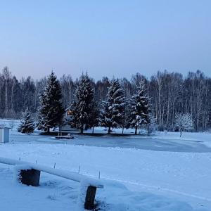 a bench covered in snow in a field with trees at Relax House By The Stone in Nugariai