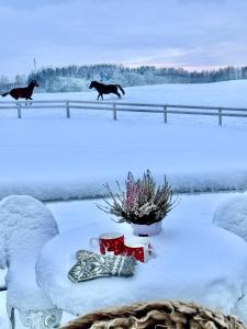 two horses running in the snow in a field at Relax House By The Stone in Nugariai