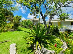 a garden in front of a house at Les Orchidées de Sainte-Anne in Sainte-Anne
