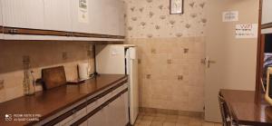 a kitchen with a refrigerator and a counter at Etablissement commun avec chambre privé tranquille avec jardin a 10 min a pied de la gare de Fleury-les-Aubrais et 2 min d Orléans in Fleury-les-Aubrais