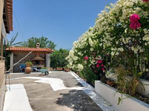 a garden with flowers and a gazebo at Andreas House in Valíra