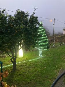 a christmas tree in a yard with lights at A Casa da Rapariga de Cabelo Azul in Manteigas