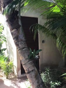 Fotografie z fotogalerie ubytování Villa Constantino v destinaci Telchac Puerto