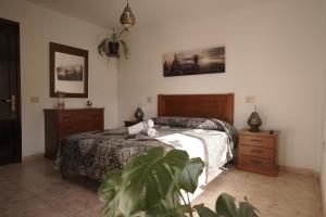 A bed or beds in a room at Corralejo Garden&Relax