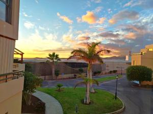 een palmboom in het midden van een straat bij Villa Brisita in Granadilla de Abona