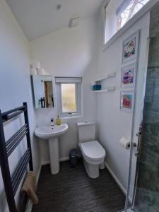 e bagno con servizi igienici, lavandino e doccia. di Primrose Cottage a Helston