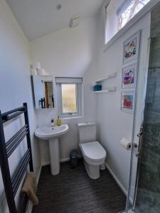 a bathroom with a toilet and a sink and a shower at Primrose Cottage in Helston