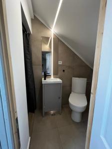 een kleine badkamer met een toilet en een wastafel bij Cabana Merlin - Statiunea Muntele Baisorii in Cluj-Napoca