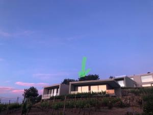 a house with a green light in the sky at Vald'arêgos - Douro in Resende
