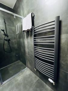 W łazience znajduje się prysznic i przeszklona kabina prysznicowa. w obiekcie Apartmán Twins Green blízko centra w mieście Michalovce