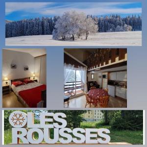 a collage of photos of a bedroom and a house at LE CHALET DES SAPINS, Superbe Duplex avec belle vue, Au Coeur Des Rousses, Tout confort 5 pers, Draps inclus, parking gratuit in Les Rousses