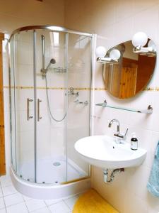 a bathroom with a shower and a sink at Fewo RELAX – Entspannung ohne TV in Bernau bei Berlin