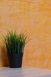 Φωτογραφία από το άλμπουμ του Galerius Palace στη Θεσσαλονίκη