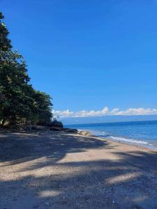 a beach with trees and the ocean on a sunny day at Aundanao Oasis Beach in Samal