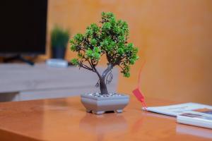 Φωτογραφία από το άλμπουμ του Galerius Palace στη Θεσσαλονίκη