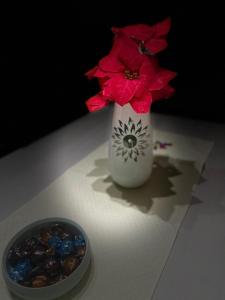 eine weiße Vase mit roten Blumen und einer Schüssel Steine in der Unterkunft LA CASETTA DI LORENZO in Lanciano