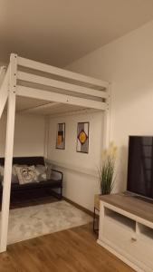 TV o dispositivi per l'intrattenimento presso Onix-Vital Apartman Orfű