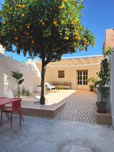 einen Orangenbaum im Innenhof eines Hauses in der Unterkunft Design & art, patio with orange tree, near Seville in Carrión de los Céspedes