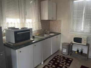 a kitchen with a sink and a microwave at Villa Olympus 