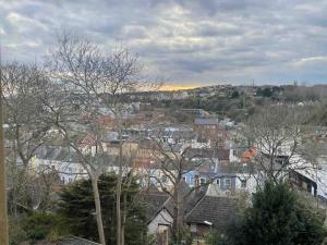 a view of a city with houses and trees at One/Two Bedroom Apartment Close to Sea & Centre in Hastings +7 photos